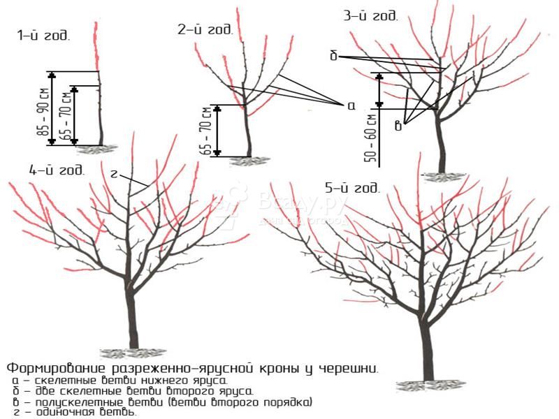 Обрезка Фото 1 1