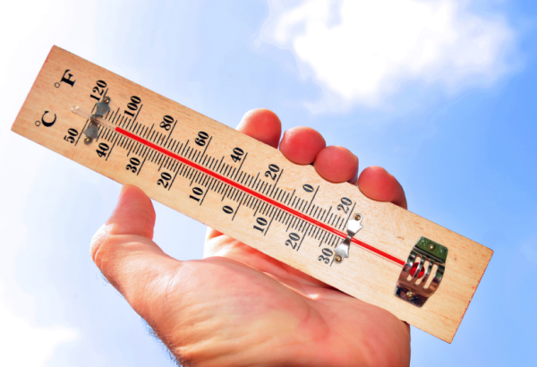 В какие регионы России идет экстремальная жара в августе 2022 года, рассказали специалисты Гидрометцентра 