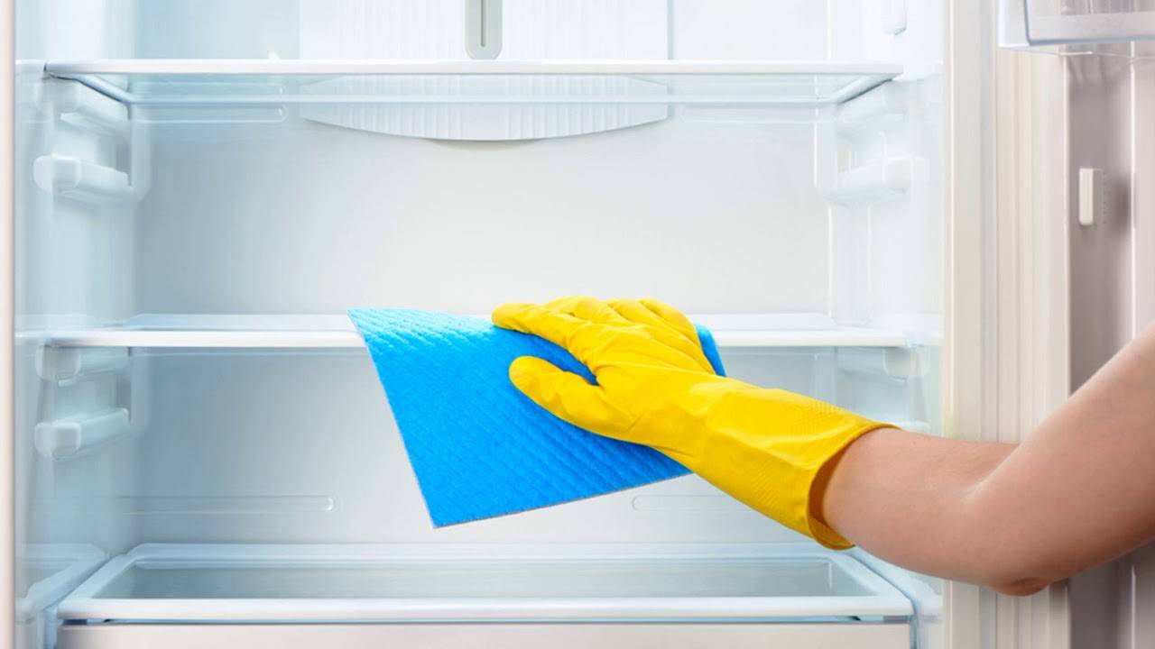 Эффективные лайфхаки, которые помогут избавить холодильник от грибка