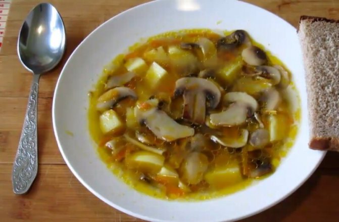 Тонкости кулинарии: как сделать так, чтобы грибы не почернели в супе