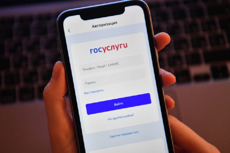 Удаление профиля на Госуслугах приравняют к уклонизму, - юристы