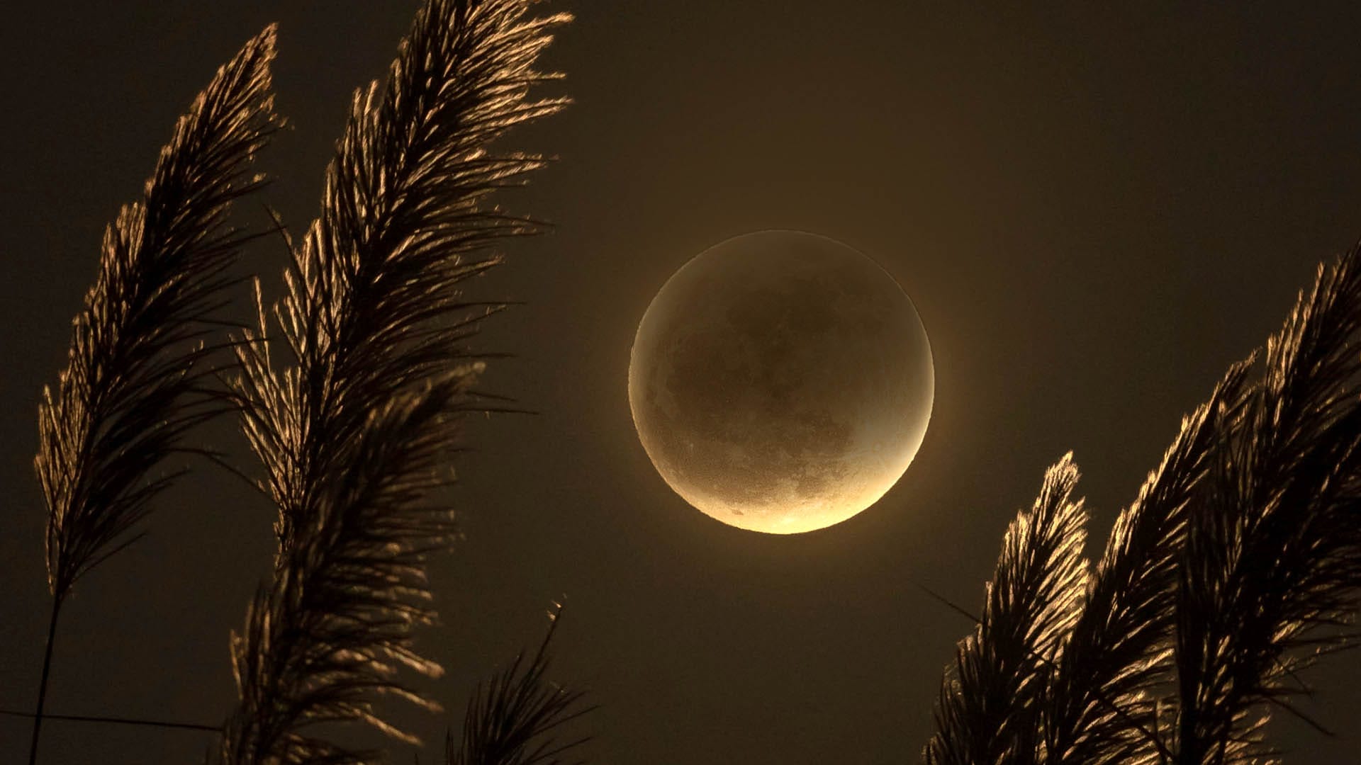 Проблемы и опасности полутеневого затмения Луны, 5 мая 2023 года: астрологи подсказали как и обойти